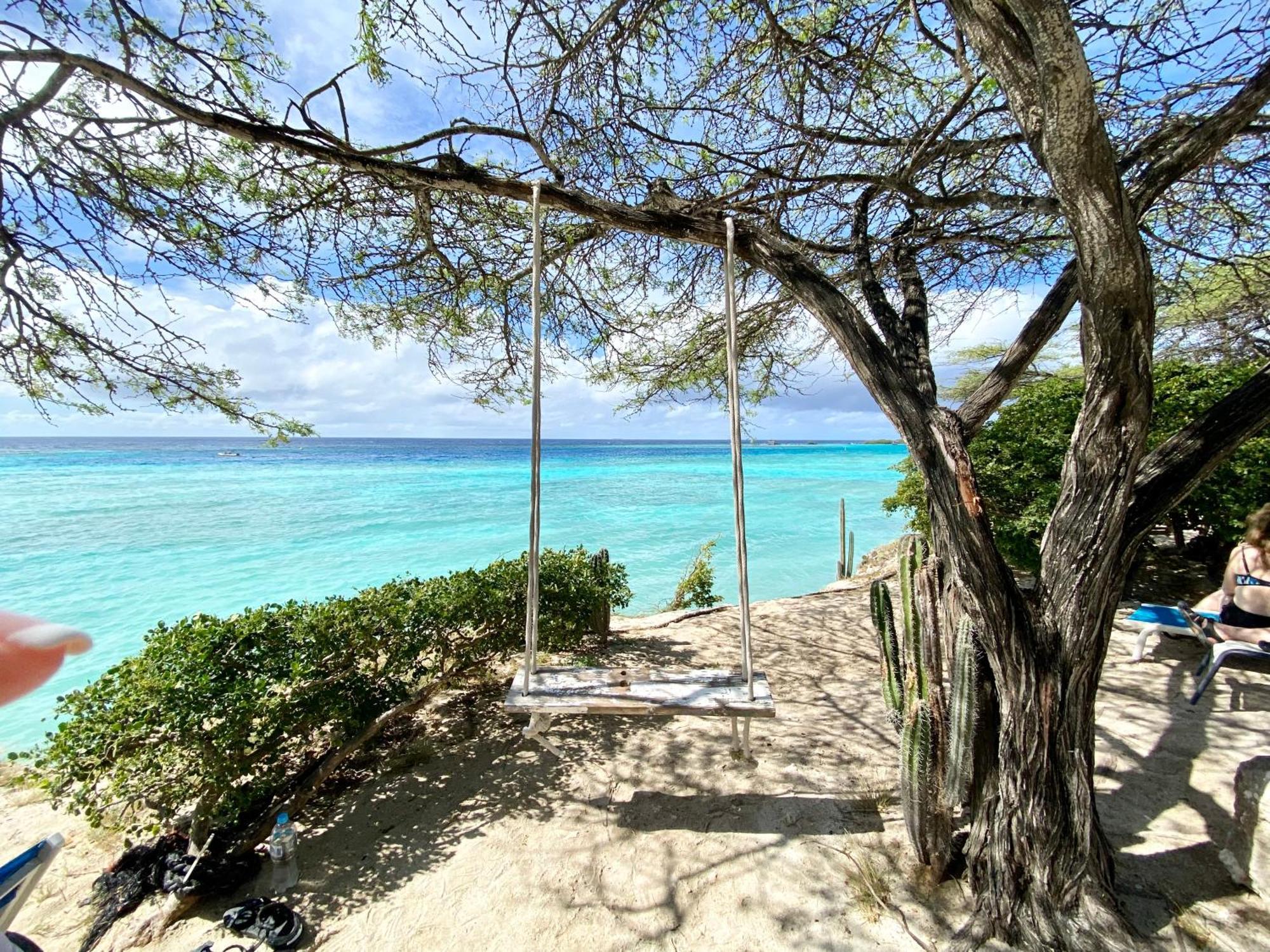 Casa Azure Aruba Villa Palm Beach Dış mekan fotoğraf